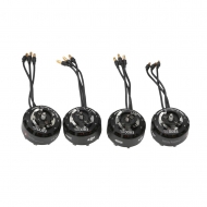 DJI E800 на 4 ротора (моторы, регуляторы, винты)