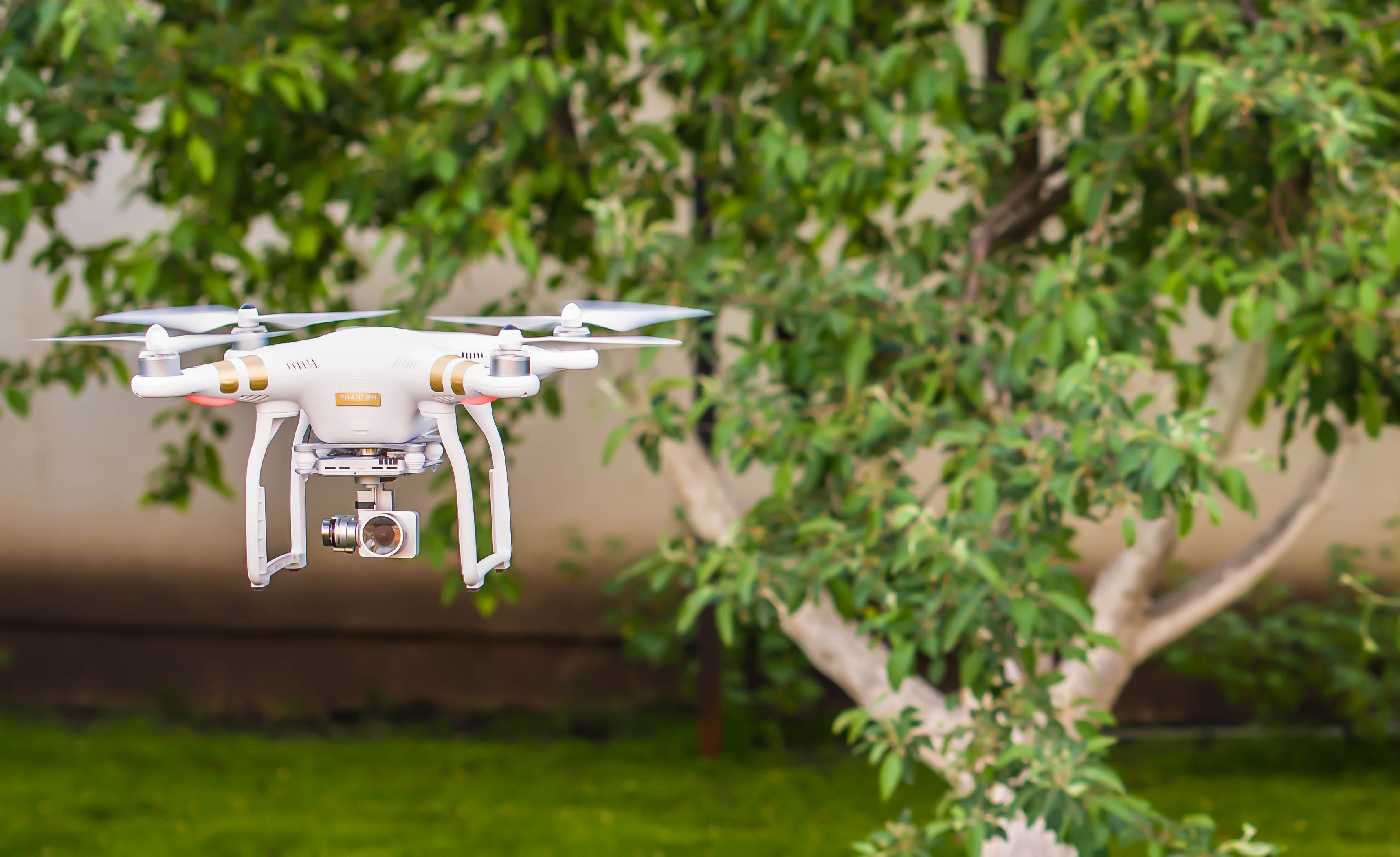 Купить Phantom3 недорого!